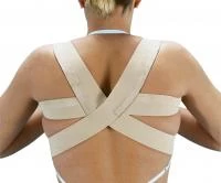 Корректор осанки (реклинатор) E-240 "Orliman"